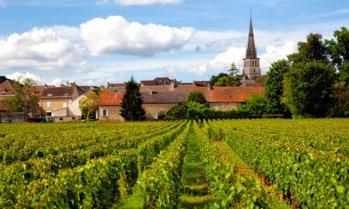 Immobilienbewertung in ländlichen Gebieten